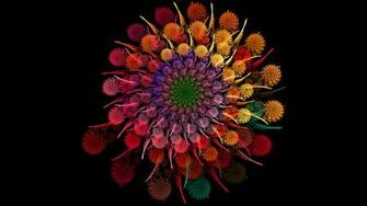 Abstract Fractal Wallpaper Flowers Foto Artis Candydoll