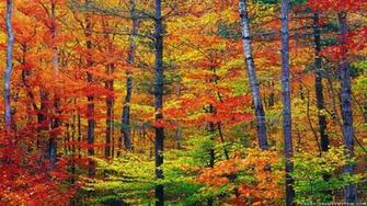 Scenic Wallpaper For Desktop