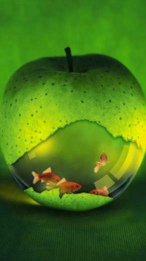 iPhone Wallpaper Green Apple HD For