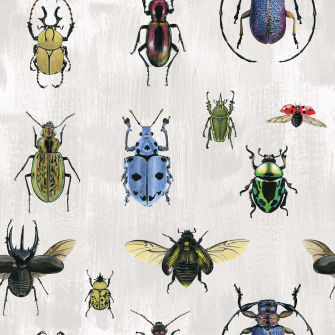 Insect Wallpaper Muse Wall Studio
