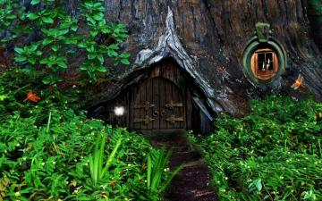 Forest Wallpaper For Home Net