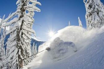 Powder Skiing Wallpaper Ski Wall