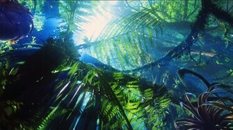 Avatar HD Wallpaper By Ihateyouare