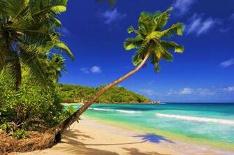 Philippine S Best Tourist Spot Top White Sand Beaches In The