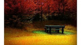 Picnik 4k Fall Wallpaper