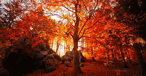 First Day Of Fall The Autumnal Equinox Is Here