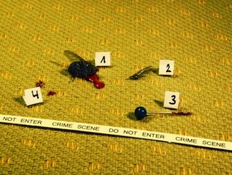 Crime Scene Wallpaper Random