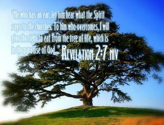 My Heaven Revelation Verses Wallpaper