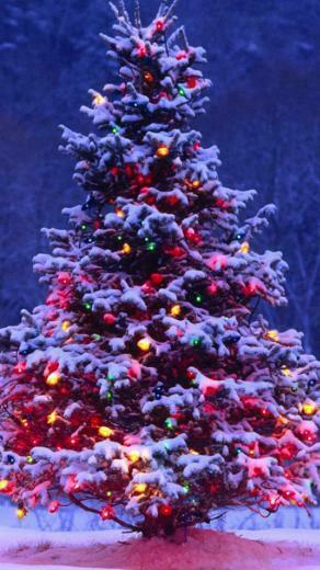 Christmas Wallpaper For iPhone