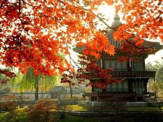 Adventures South Korea A Voyage To