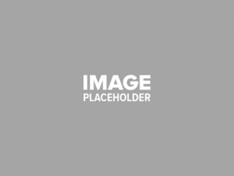 Pojo Placeholder Iconisol