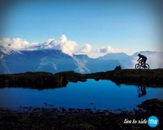 Downhill Mountain Biking Bike Life Cicles Avi