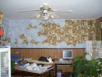 Applying Paper Illusions To