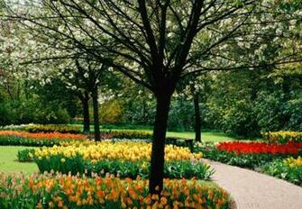 Eye Catchy These Are Mind Blowing Spring Wallpaper For Desktop