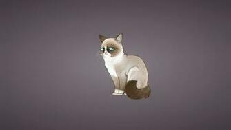 Pics Photos Grumpy Cat Wallpaper