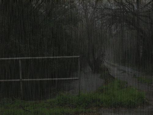 Animated Rain Gif Background Making A Very Real Animation
