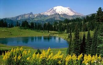 Nature Wallpaper