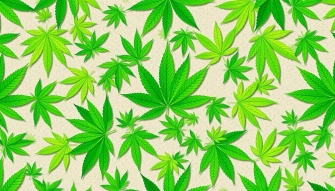 Marijuana Leaf Wallpaper