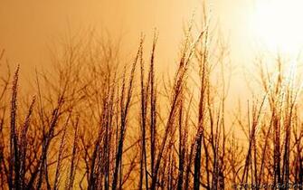 Missouri Sunset Wallpaper