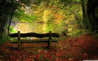Mi9 Autumn Wallpaper Empty Bench In Fall Scene Html