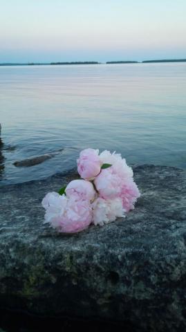 Simple Peaceful Beautiful Stokes Bay Shores Marthamclay