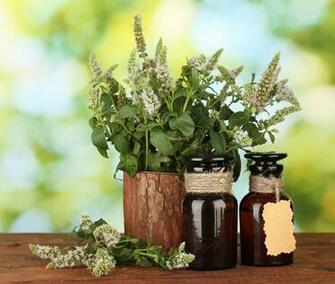Essential Oils Have Been Revered As Sacred And Useful In Day To