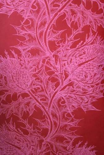 Pink Thistle Wallpaper From Timorous Beasties I Would The