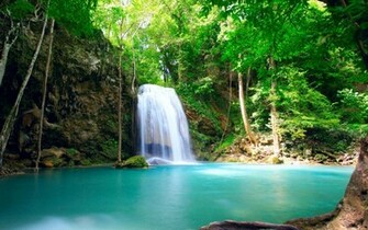 Forest Tropical Waterfall X Close