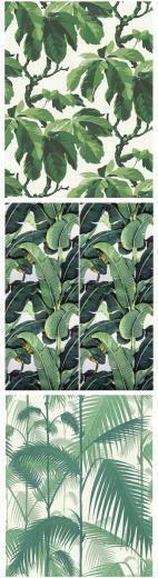 Oxfords Beverly Hills Cole Sons Och Hill Wallpaper