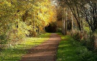 HD Wallpaper Full Wonderful Nature Wide Screen