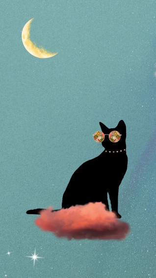 Cat Aesthetic Wallpaper
