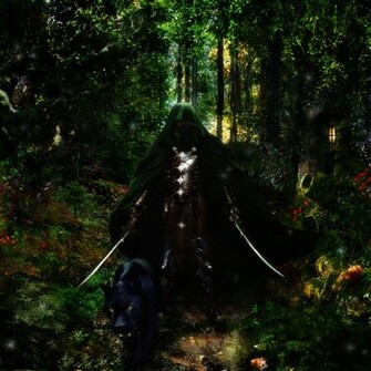 Drizzt Do Urden And Guenhwyvar By Zaratra