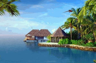 Tropical Screensavers Wallpaper S