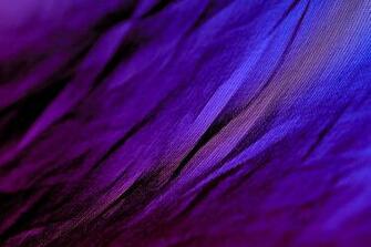Surface Pro Wallpaper Quotes