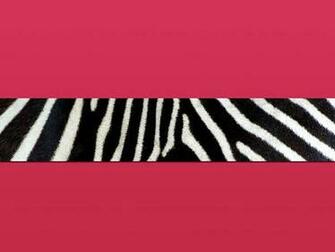 Zebra Print Background For Computers