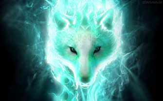 Cool Wolf Wallpaper