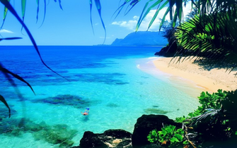 Tropical Desktop Wallpaper In HD
