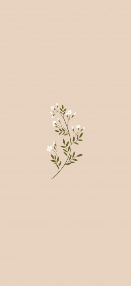 Jasmine Blossoms Beige Wallpaper Flower For iPhone