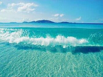 Summer Background