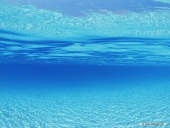 Water Background Wallpaper Wall Trends