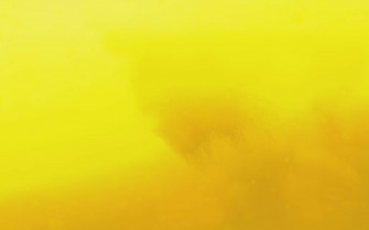 These Yellow Wallpaper In High Definition For F