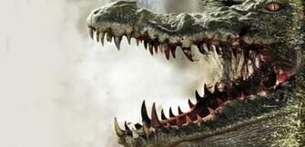 Alligator HD Wallpaper Background Image Id