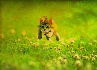 Net Desktops Background Kids Desktop Html Filesize