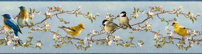 Songbird Wallpaper Border