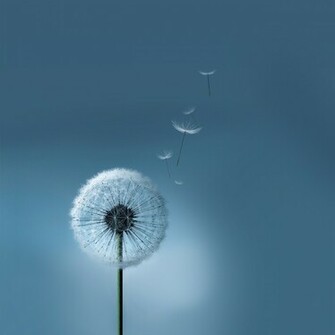Wallpaper Android Ios Windows Phone And Desktop Samsung Galaxy