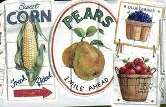 Fresh Fruit Collections Wallpaper Border Roll Traditional