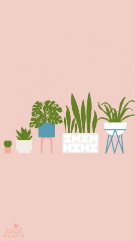House Plant August Calendar Wallpaper Sarah Hearts