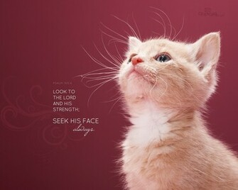Cute Bible Verses About Friendship Image Pictures Becuo
