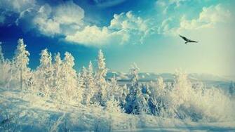 Sunny Winter Desktop Pc And Mac Wallpaper