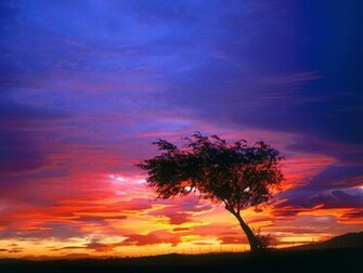 Palmdale California Wallpaper Pictures Photos And Background